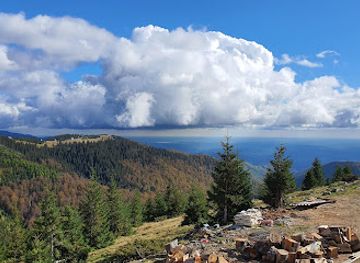 romania/valcea/attraction/manastirea-alina-maria