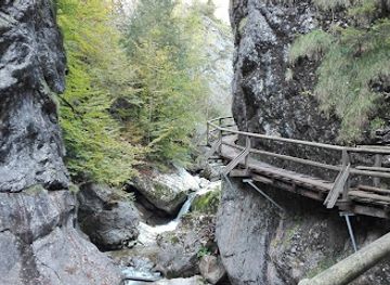 austria/eisenwurzen/attraction/kraushohle