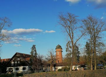 hungary/somogy/attraction/kaszo-lombkorona-setany
