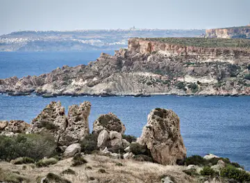 Għajn Ħamiem