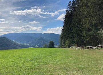 austria/murztal/attraction/wald-der-sinne