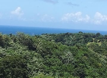 trinidad-and-tobago/buccoo-reef/attraction/eden-s-door-tobago