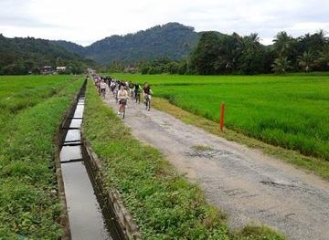 malaysia/george-town/attraction/explore-balik-pulau