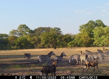 zambia/kafue-national-park/attraction/kubu-kweena-lodge