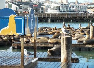 california/oakland/attraction/pier-39