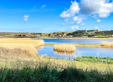 jersey/la-rocque-harbour/attraction/the-national-trust-for-jersey-wetland-centre