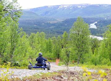 norway/buskerud/attraction/mountain-cart-dagali