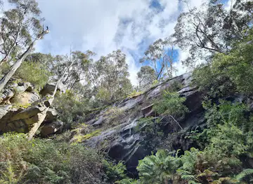 Bullaces Glen