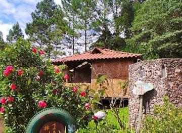 nicaragua/san-juan-river-basin/attraction/finca-neblina-del-bosque