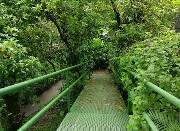 costa-rica/monteverde-cloud-forest-biological-reserve/attraction/frog-pond-ranario