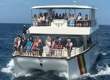 sri-lanka/galle/attraction/whale-watching-club