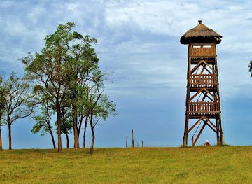hungary/duna-ipoly-national-park/attraction/velence-and-dinnyes-nature-conservation-area