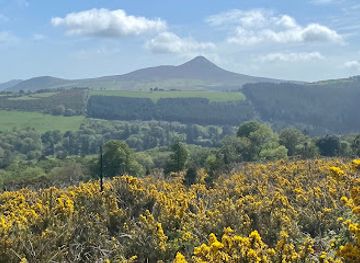 ireland/wicklow-mountains/attraction/crone-woods