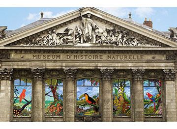 france/nantes/attraction/natural-history-museum