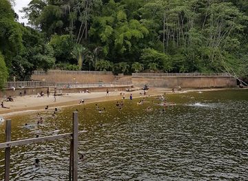 trinidad-and-tobago/san-juan-laventille/attraction/zip-itt-adventure-tours