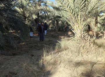 غاليت