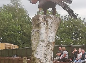 united-kingdom/staffordshire/attraction/gentleshaw-wildlife-centre