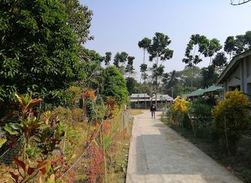 bangladesh/kuakata/attraction/sweet-water-well