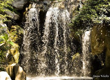 australia/sydney-basin/attraction/chinese-garden-of-friendship