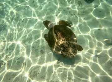 new-caledonia/hienghene/attraction/passion-lagon