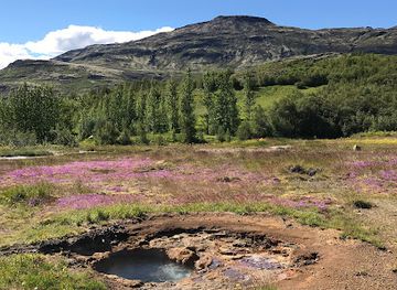 iceland/thorsmork/attraction/litli-geysir