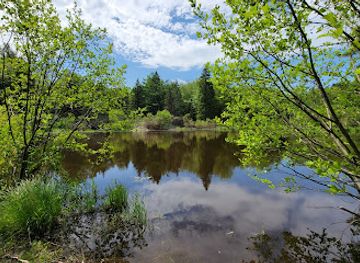 connecticut/mohawk-mountain-ski-area/attraction/topsmead-state-forest