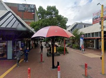 new-zealand/wellington/attraction/hunt-for-the-wellypeople