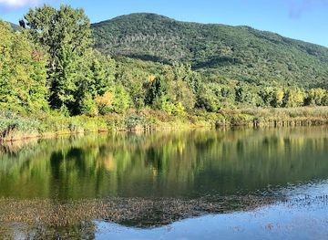 massachusetts/mount-greylock-state-reservation/attraction/greylock-glen