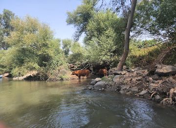 jordan/northern-jordan-valley/attraction/jordan-river-rafting-attractions