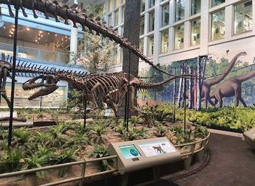 pennsylvania/pittsburgh/attraction/carnegie-museum-of-natural-history
