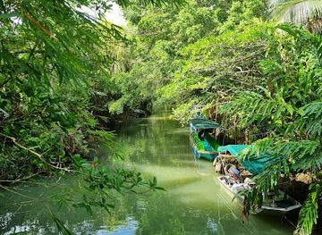 costa-rica/central-pacific/attraction/mangrove-boat-tour