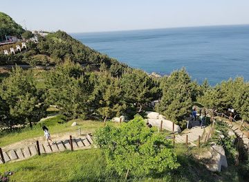 south-korea/north-gyeongsang-province/attraction/sunrise-park