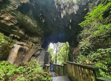 new-zealand/waitomo-caves/attraction/mangapohue-natural-bridge