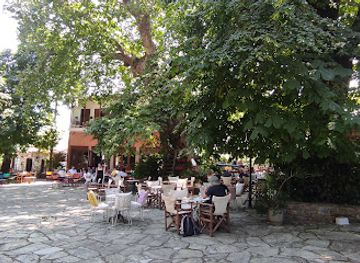 greece/mount-pelion/attraction/yperaionovios-platanos