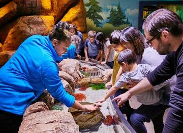 new-jersey/hoboken/attraction/sea-life-new-jersey-aquarium