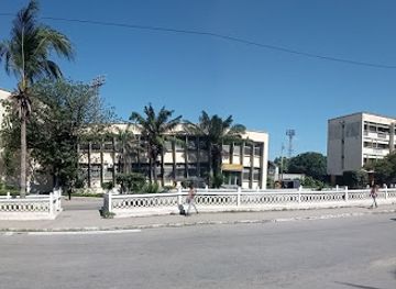 madagascar/mahajanga/attraction/avenue-philibert-tsiranana-garden