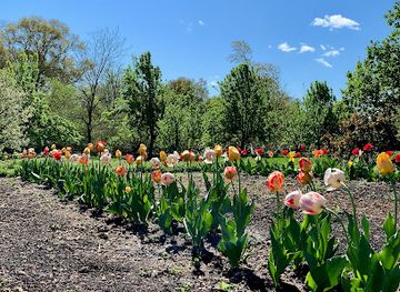 maryland/silver-spring/attraction/riversdale-house-museum