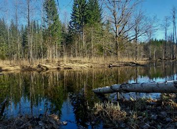 estonia/soomaa-national-park/attraction/beaver-trail