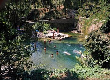 italy/casentino/attraction/adrenaline-adventure-park-casentino