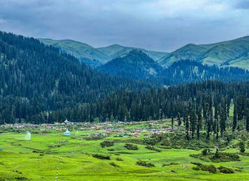 india/kashmir-valley/attraction/buta-pathri