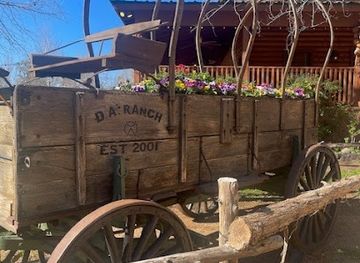 arizona/scottsdale/attraction/starlite-adventures