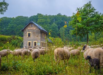 luxembourg/eislek/attraction/eislek-pad-gilsdorf