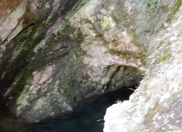 slovenia/postojna-cave/attraction/ponor-reke-pivke