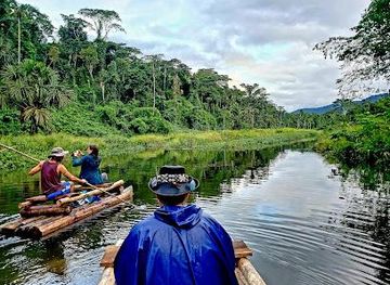 peru/cusco/attraction/amazon-trip-peru-rainforest-expeditions-jungle-tours-from-cusco-sustainable-travel-agency