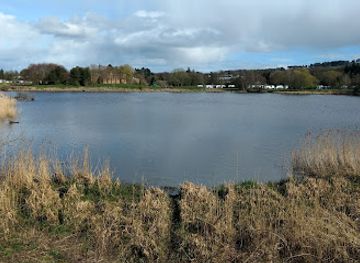 united-kingdom/angus/attraction/rspb-scotland-loch-of-kinnordy
