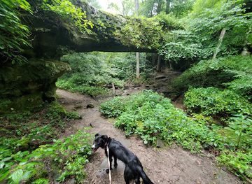 illinois/shawnee-hills/attraction/pomona-natural-bridge