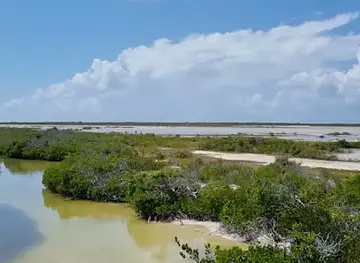 Anegada