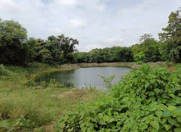india/chhattisgarh/attraction/maa-banjari-mandir