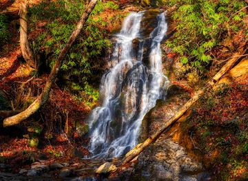 tennessee/great-smoky-mountains/attraction/cataract-falls