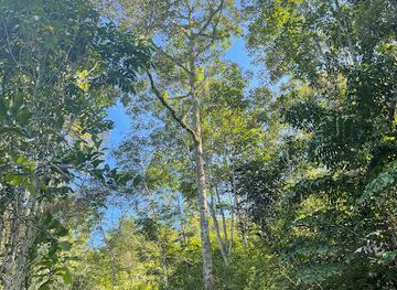 malaysia/penang-island/attraction/the-secret-mountain-resort